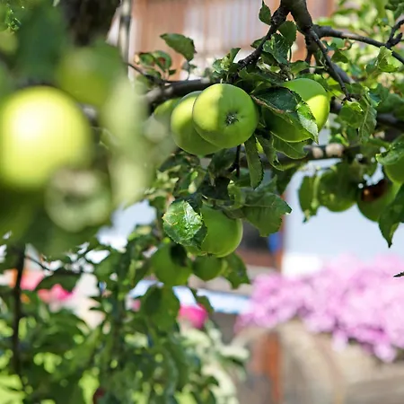 Apartment Casa Sabrina - Blu