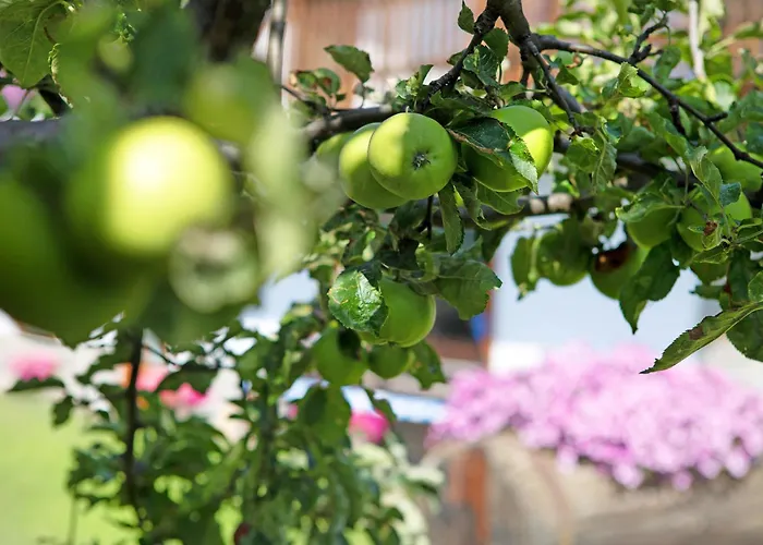 Apartment Casa Sabrina - Blu